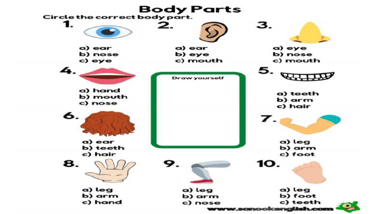 School Material Esl Pdf