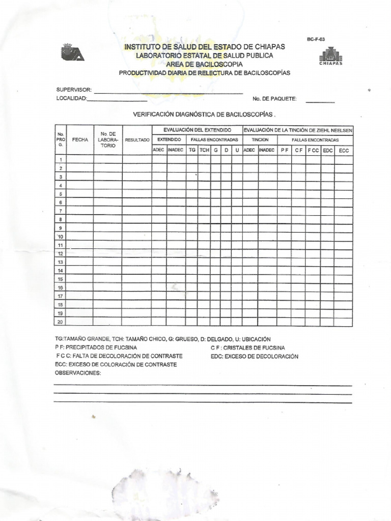 Formato Baar | PDF