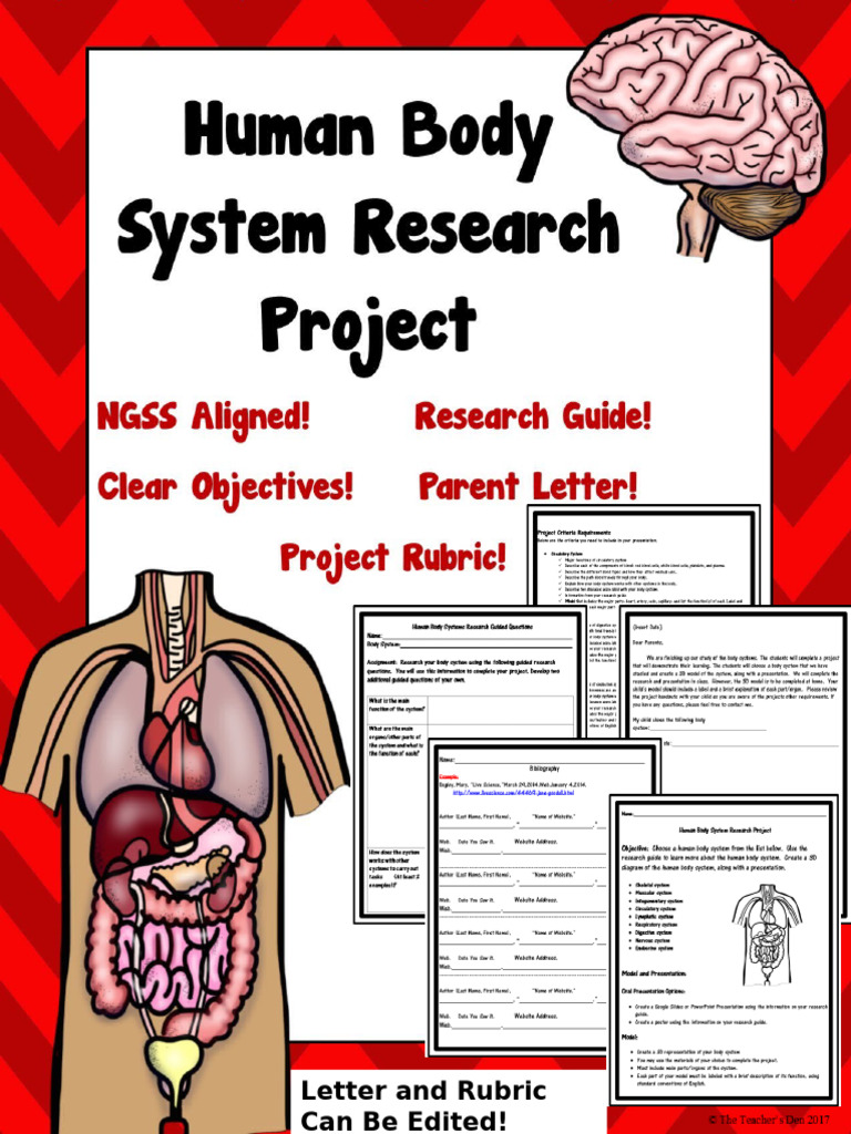 Human Body Systems Project Guide | PDF | Human Body | Muscle