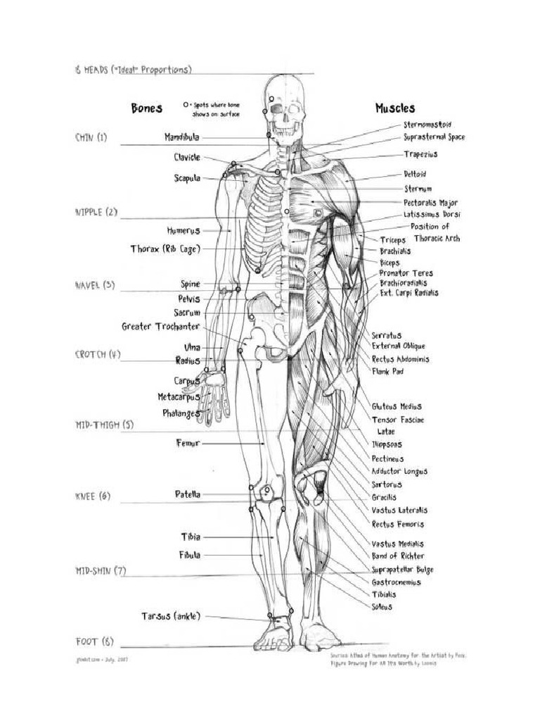 Draw | PDF