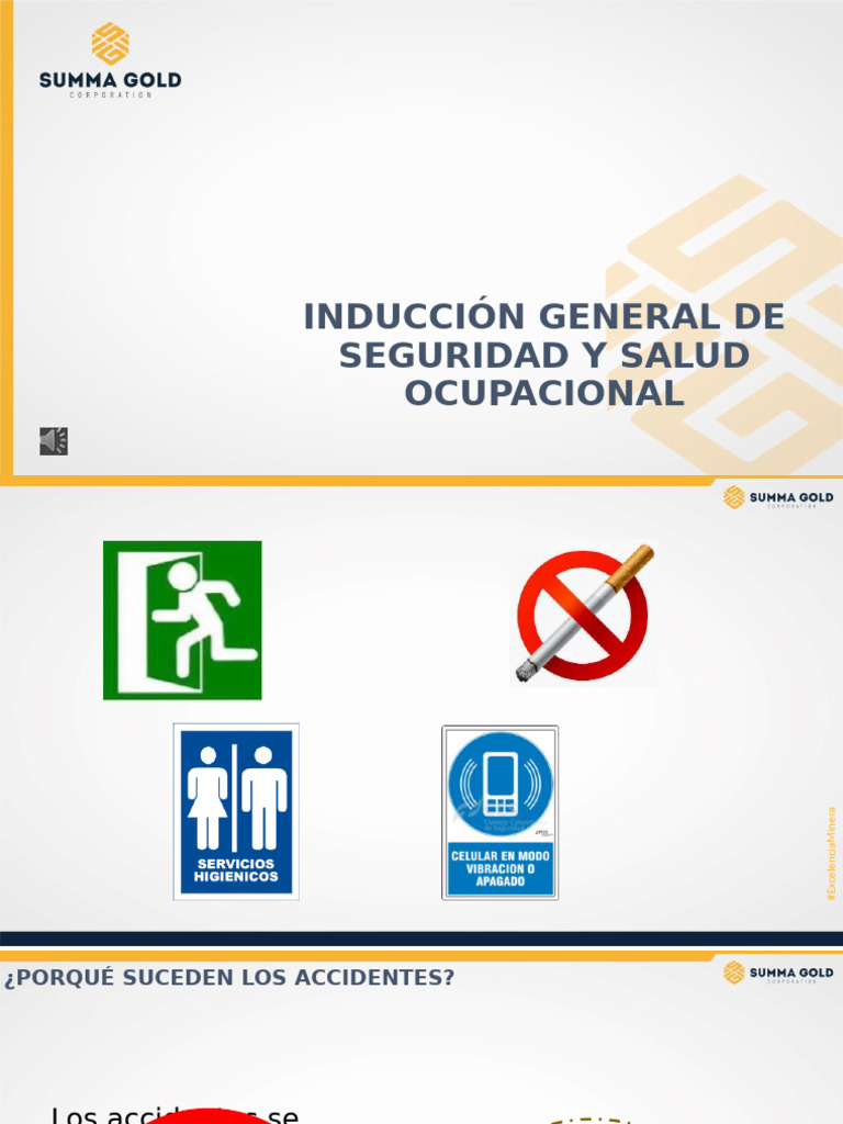 Inducción General SSO - 2024 | PDF | Seguridad y salud ocupacional | Lentes