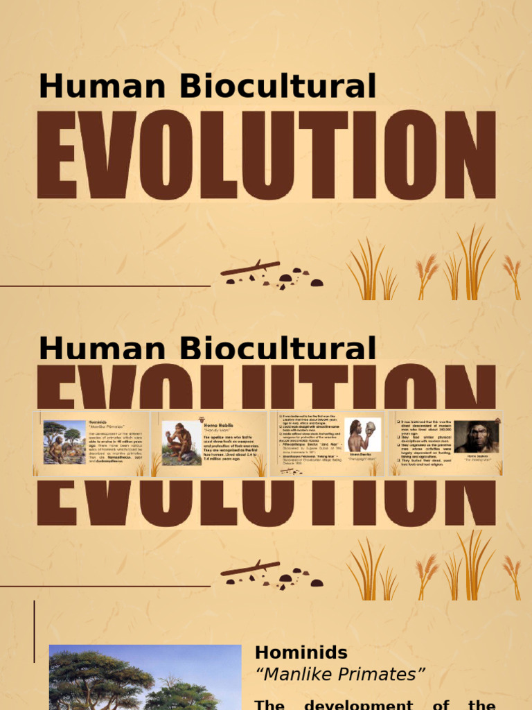 Evolution of Human Biocultural Development | PDF | Homo | Human Evolution