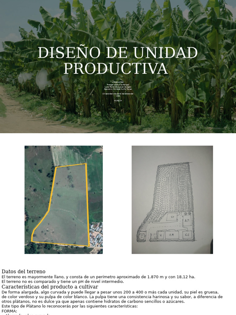 Diseño de Unidad Productiva | PDF