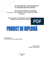 Proiect Diploma - Arad