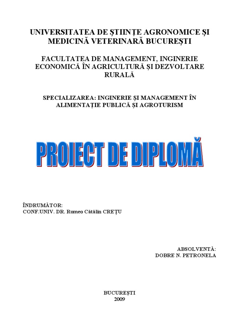 Proiect Diploma Arad