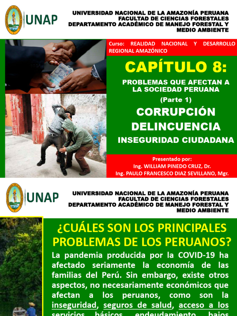Problemas Sociales en Perú: Corrupción y Delincuencia | PDF | Perú