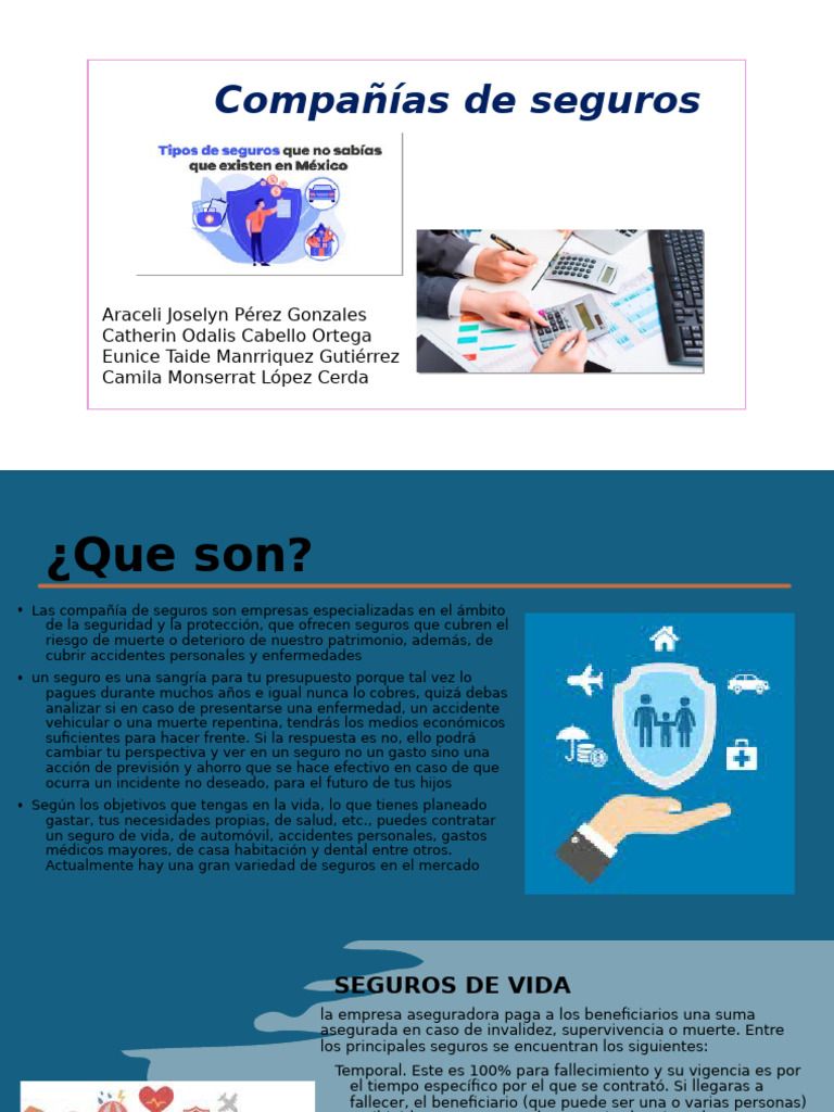 Tipos de Seguros y Coberturas Esenciales | PDF | Póliza de seguros | Seguro