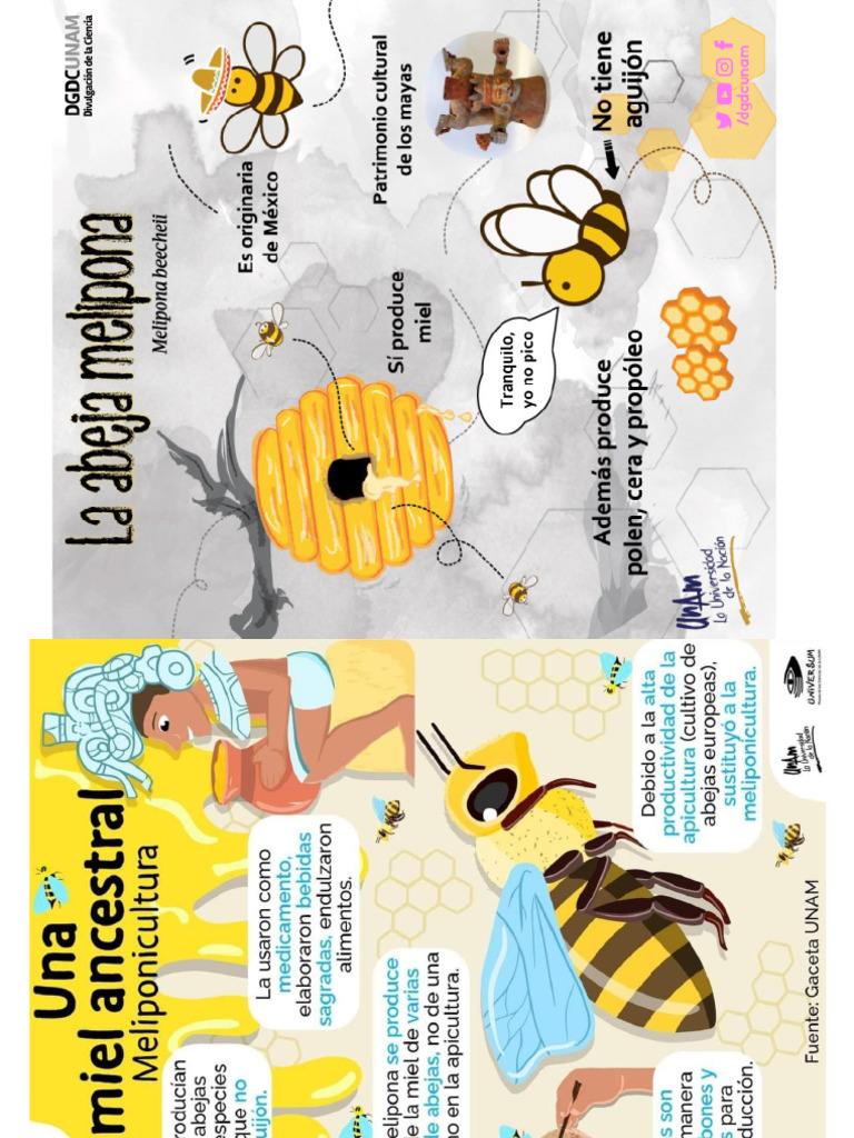 Abejas Color | PDF