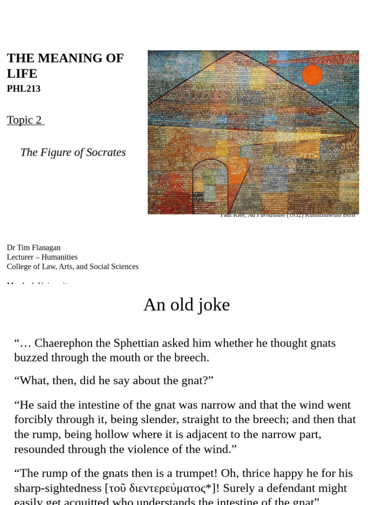 Socrates: Philosophy as a Way of Life | PDF | Symposium (Plato) | Socrates