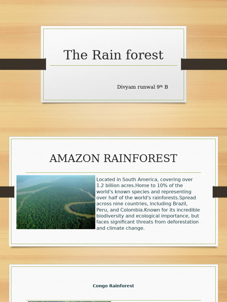 Overview of Global Rainforests | PDF | Rainforest | Forests