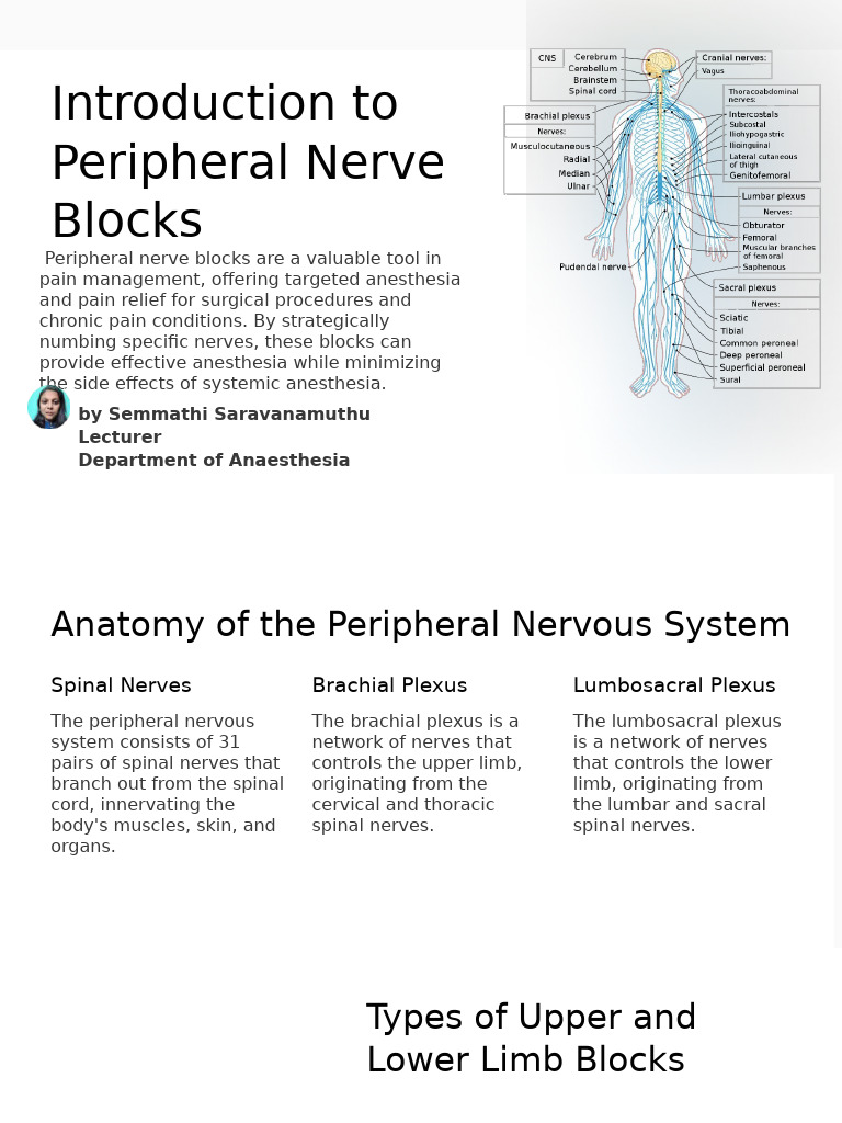 Peripheral Nerve Blocks Explained | PDF | Human Leg | Anesthesia