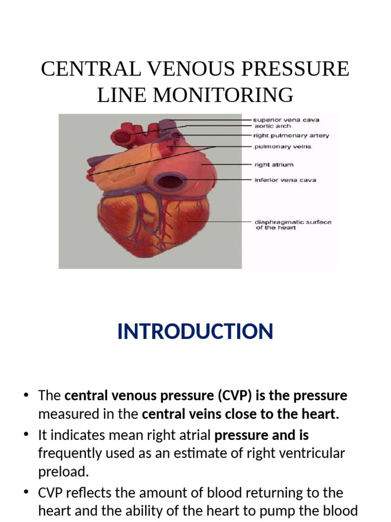 Central Venous Pressure Monitoring Guide | PDF | Vein | Heart