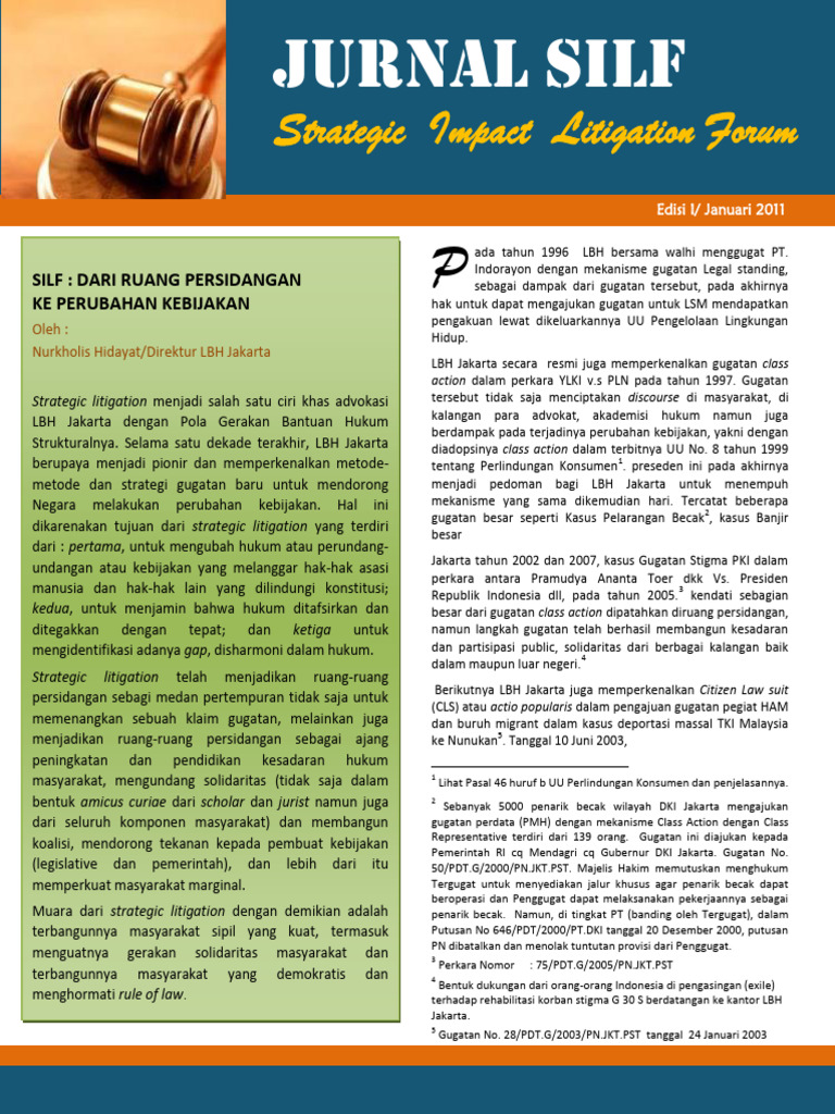 Strategic Impact Litigation Journal Vol.1 | PDF | Hukum