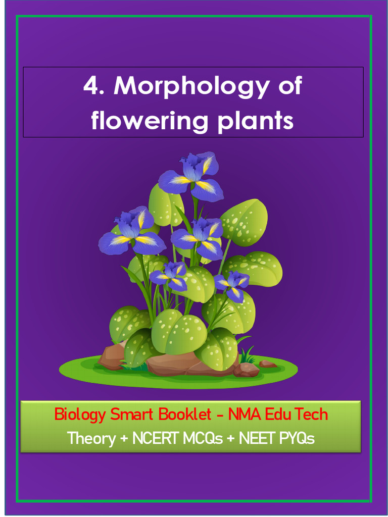 5 Morphology of Flowering Plants | PDF | Leaf | Flowers