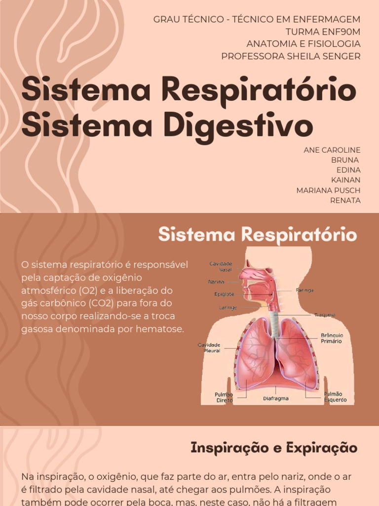 Sist Resp e Dig | PDF