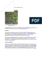 Download Cacing tanah by Lia Itu Ia SN75933773 doc pdf