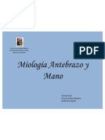 Miología Antebrazo y Mano Presentacion