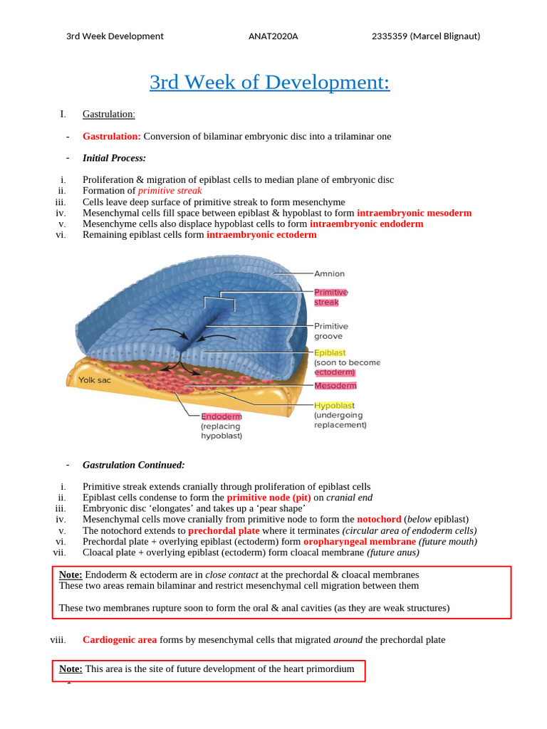 3) 3rd Week Development Notes | PDF