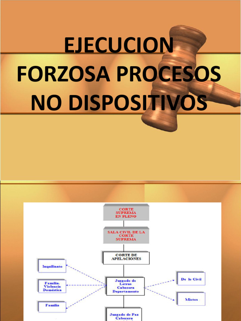Ejecuci n forzosa procesos no dispositivos pdf