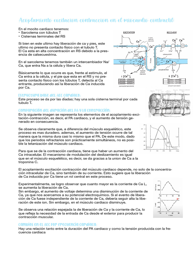 AEC Cardiaco | PDF
