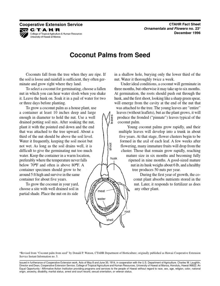 Coconut | PDF | Coconut | Trees