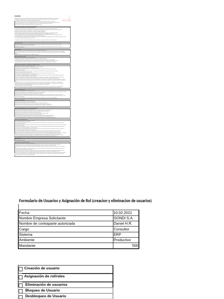 Anexo 8 - Formulario de Roles y Perfiles - V21 | PDF