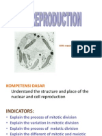 4 Cell Reproduction