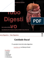 Tubo Digestivo