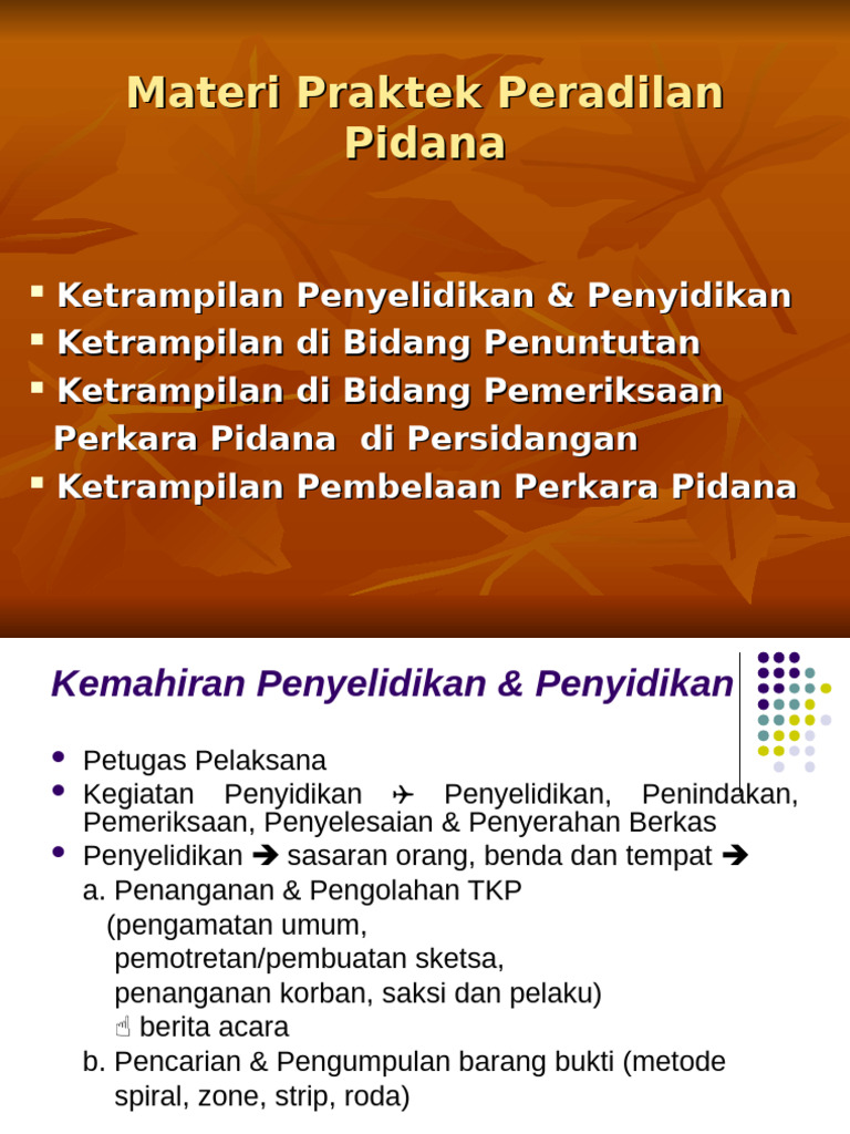 Materi PLKH Pidana | PDF