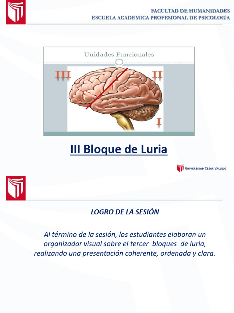 Bloque de Luria Iii | PDF