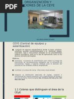 Funciones y Estructura de CEYE en Enfermería | PDF | Hospital