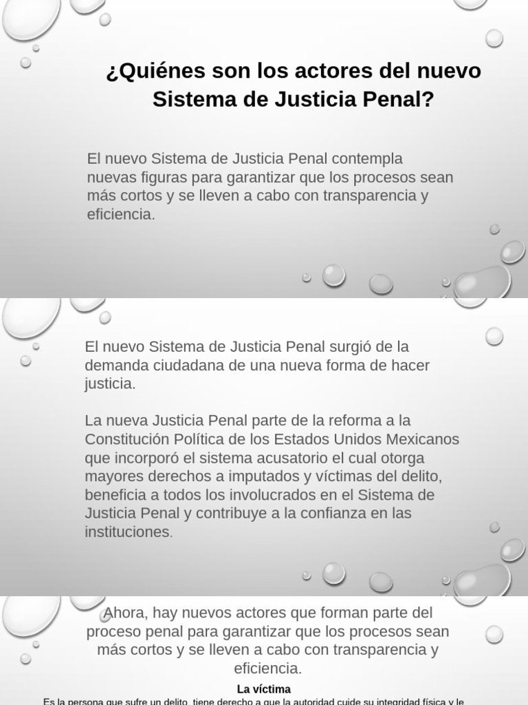 12-Nuevo Sistema de Justicia Penal | PDF