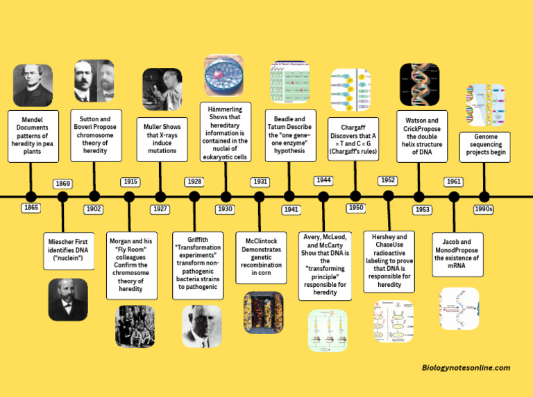 Key Milestones in Genome Sequencing | PDF | Dna | Heredity