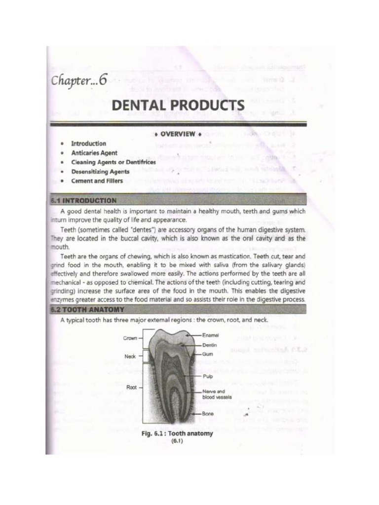 Dental Products | PDF