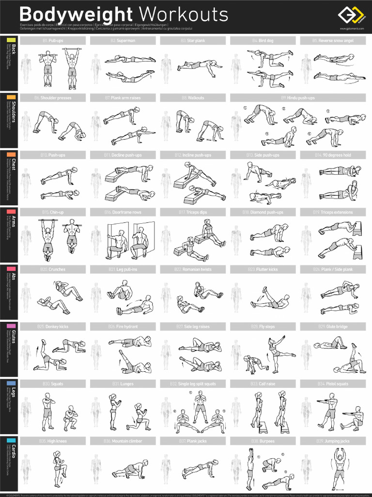 Focus sur les poids de musculation : quels poids choisir