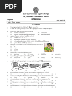 EB Exam Past Papers | PDF