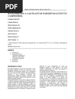 Download ENTENDIENDO A LAS PLANTAS PARSITAS CUSCUTA CAMPESTRIS by fajoses SN75960077 doc pdf