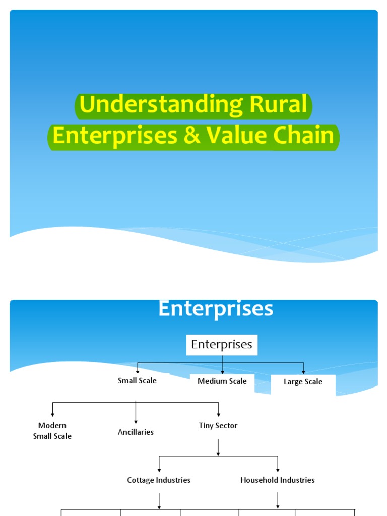 Rural Enterprises and Value Chain Insights | PDF | Science & Mathematics
