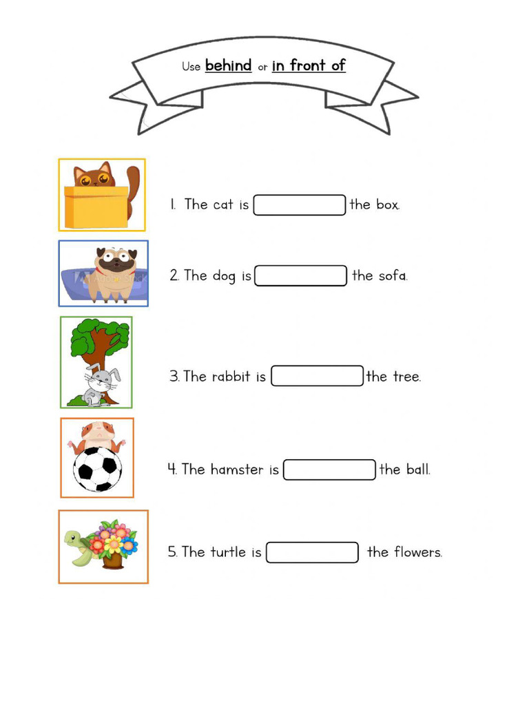 Behind and Infront of | PDF