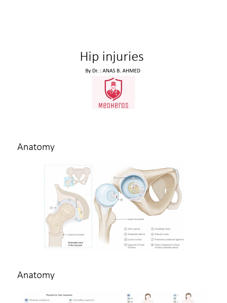 Hip Injuries | PDF