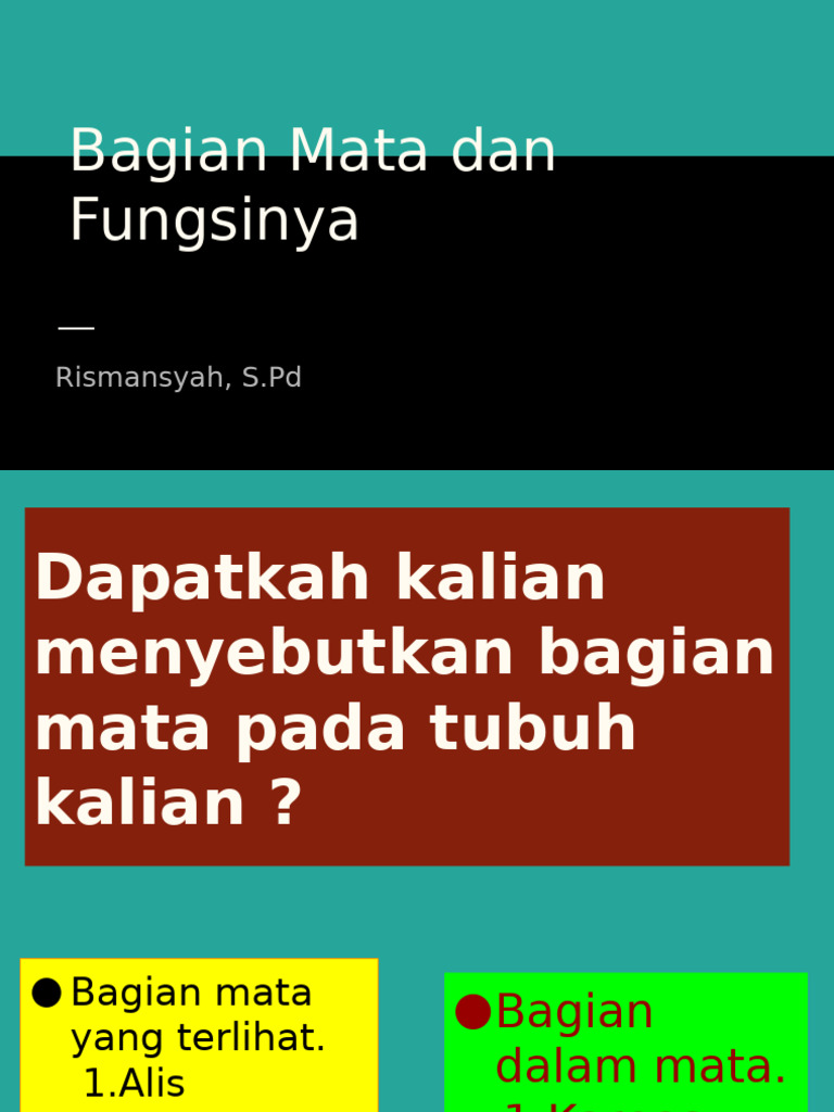 Science Project | PDF
