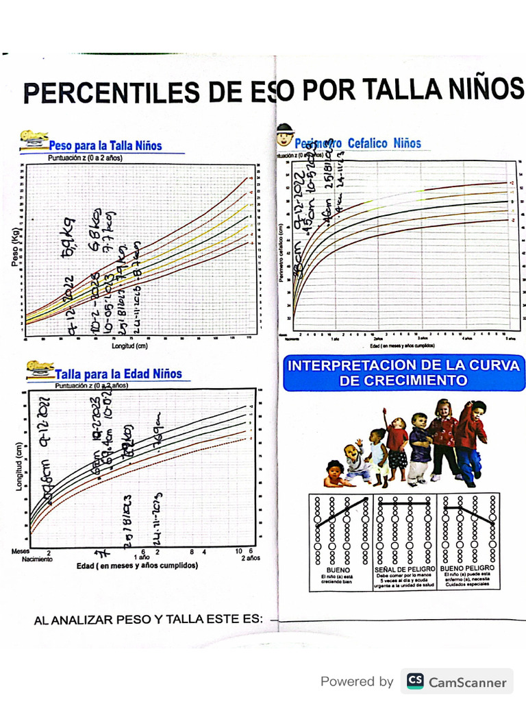 Percentile S | PDF