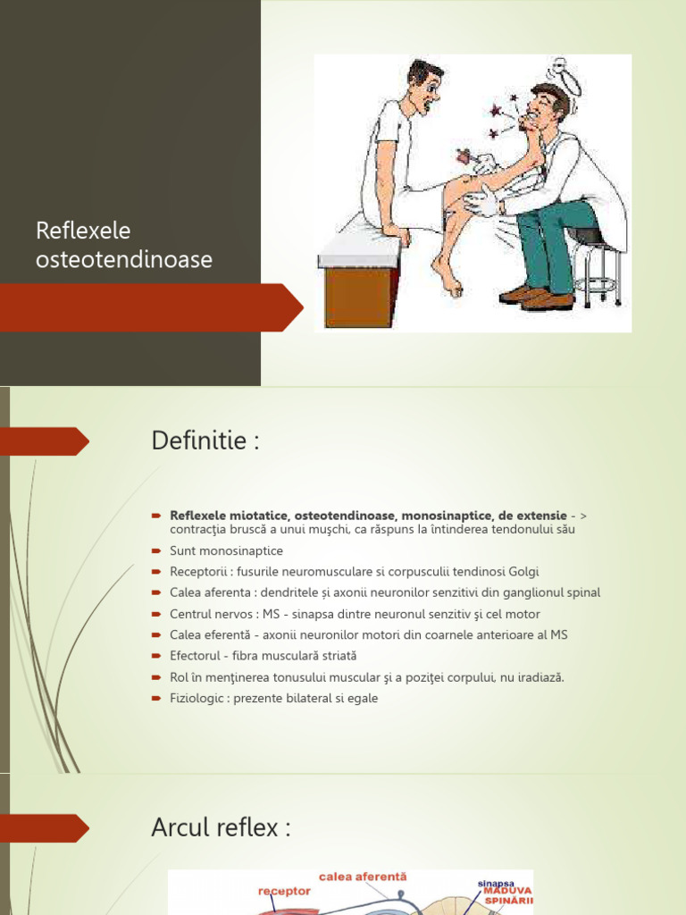 Reflexeleosteotendinoase 230307173047 8783cc48 | PDF