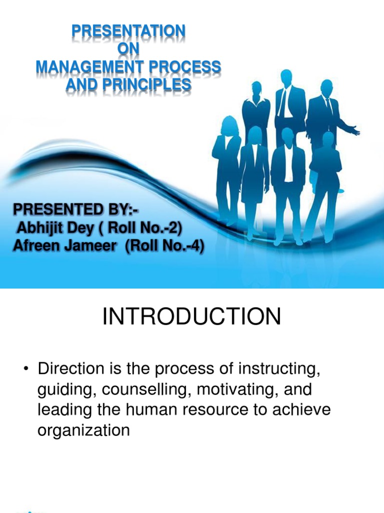 Management Process and Principles Overview | PDF