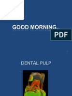 Dental Pulp