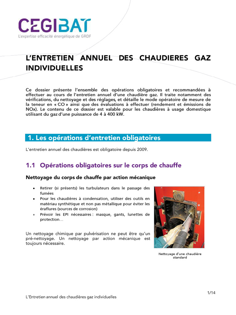 Cegibat Dossier Technique Entretien Annuel Des Chaudieres Gaz — free download