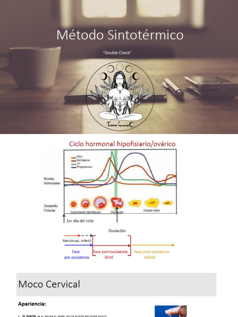 Método Sintotérmico - PDF | PDF