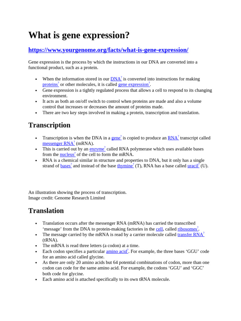 What Is Gene Expression | PDF