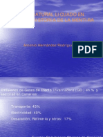 EL GAS NATURAL LICUADO EN CANARIAS