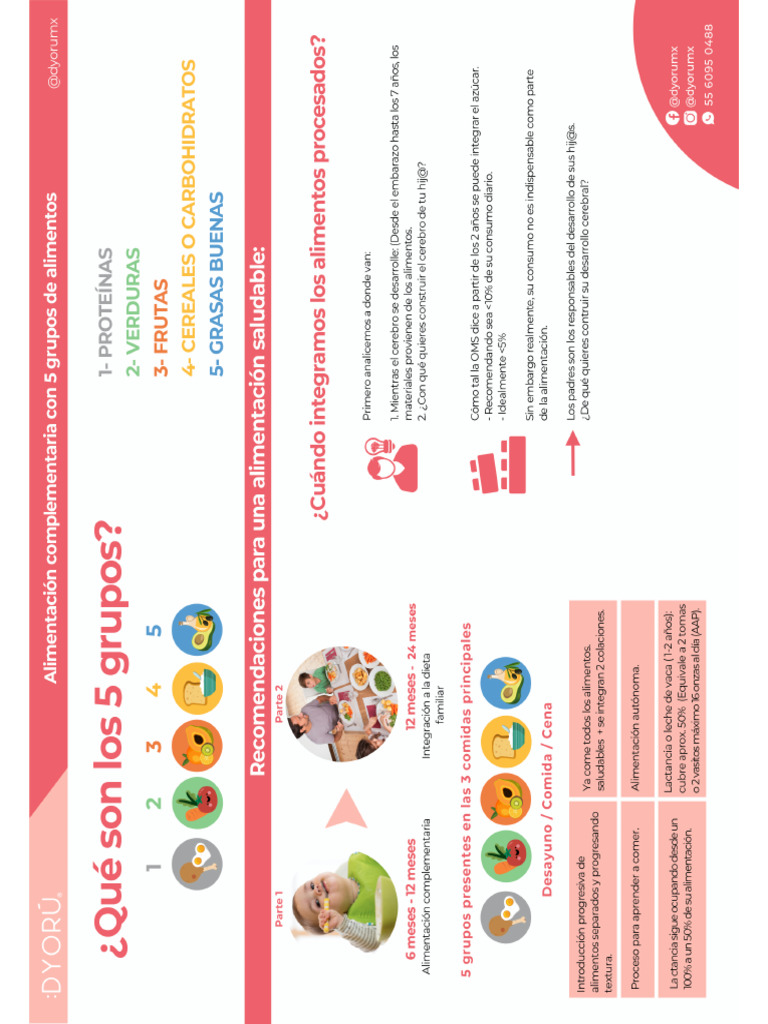 Los 5 Grupos De Alimentos Pdf